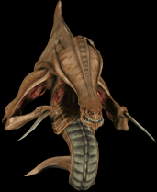 terranmarine.gif